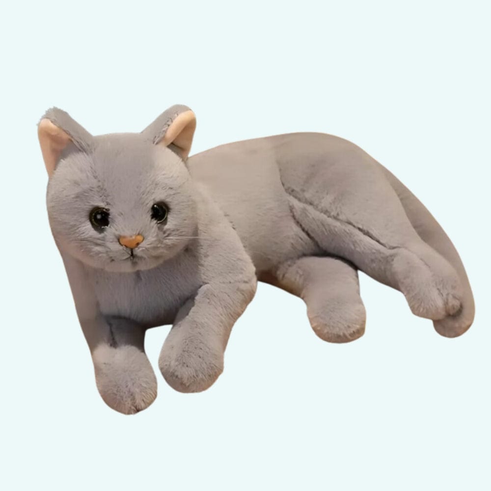La Peluche Peluche chat toute douce