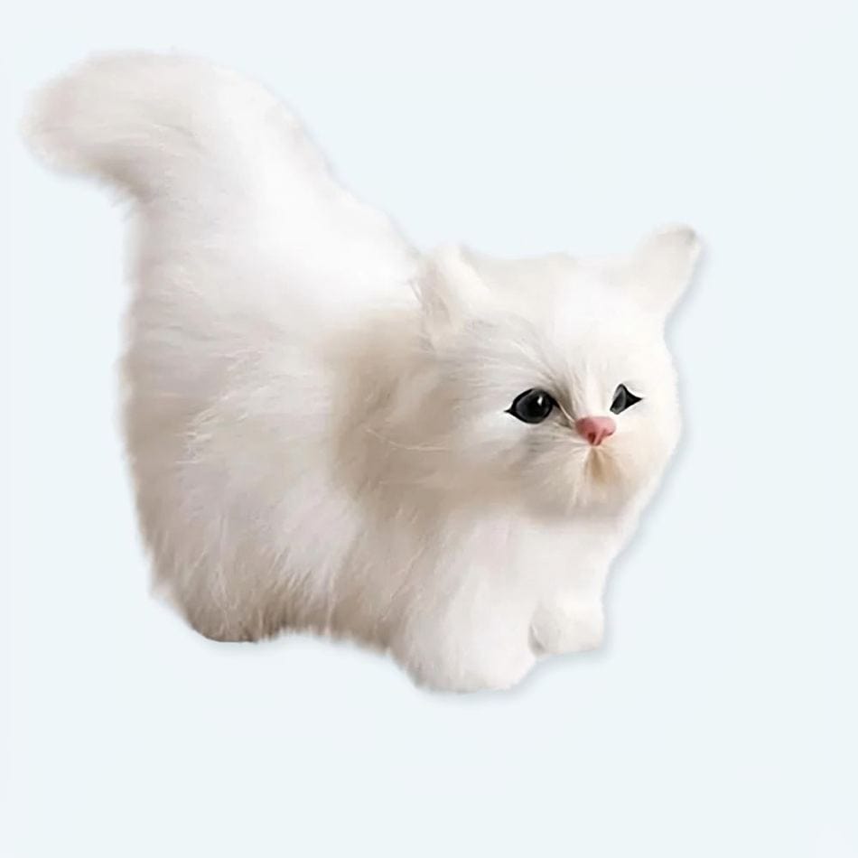 La Peluche Peluche chaton poilu blanc