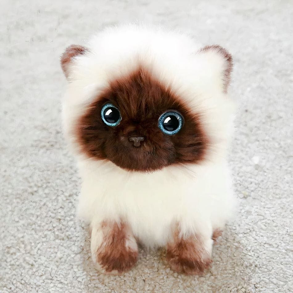 La Peluche Peluche chaton siamois