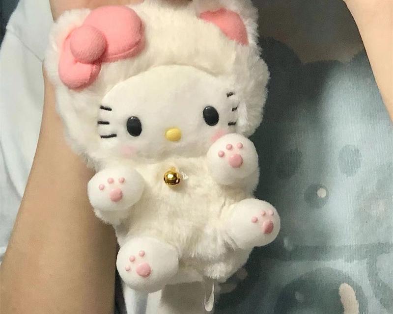 La Peluche Peluche Hello Kitty avec déguisement