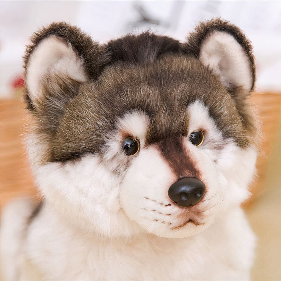 La Peluche Peluche loup gris et blanc adorable