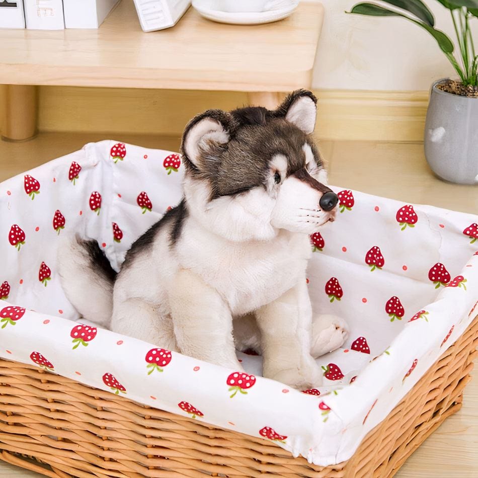 La Peluche Peluche loup gris et blanc adorable
