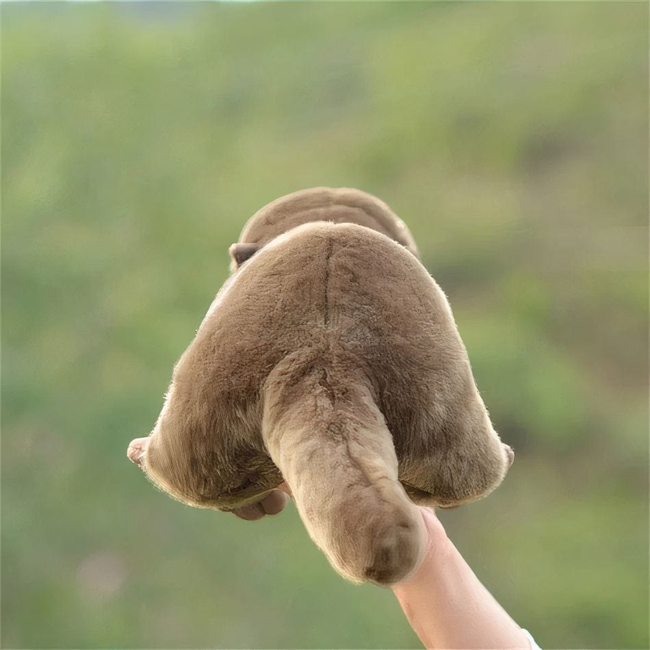 La Peluche Peluche loutre soyeuse