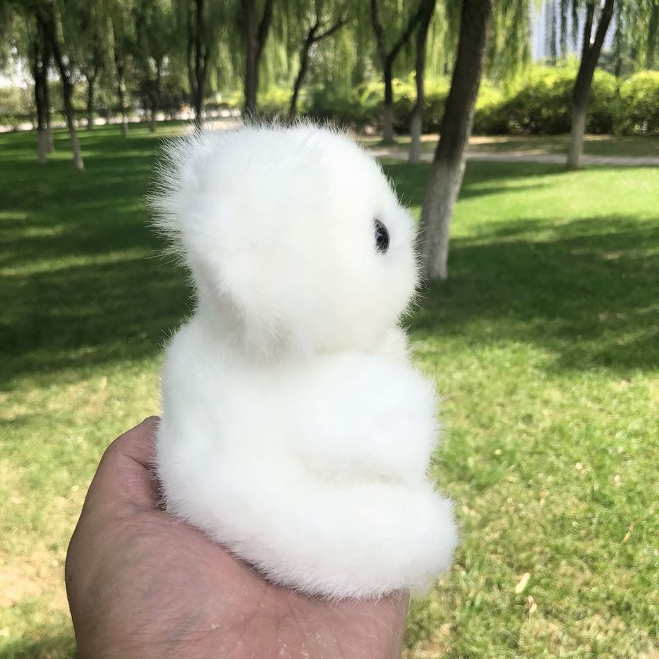 La Peluche Petite peluche koala poilu