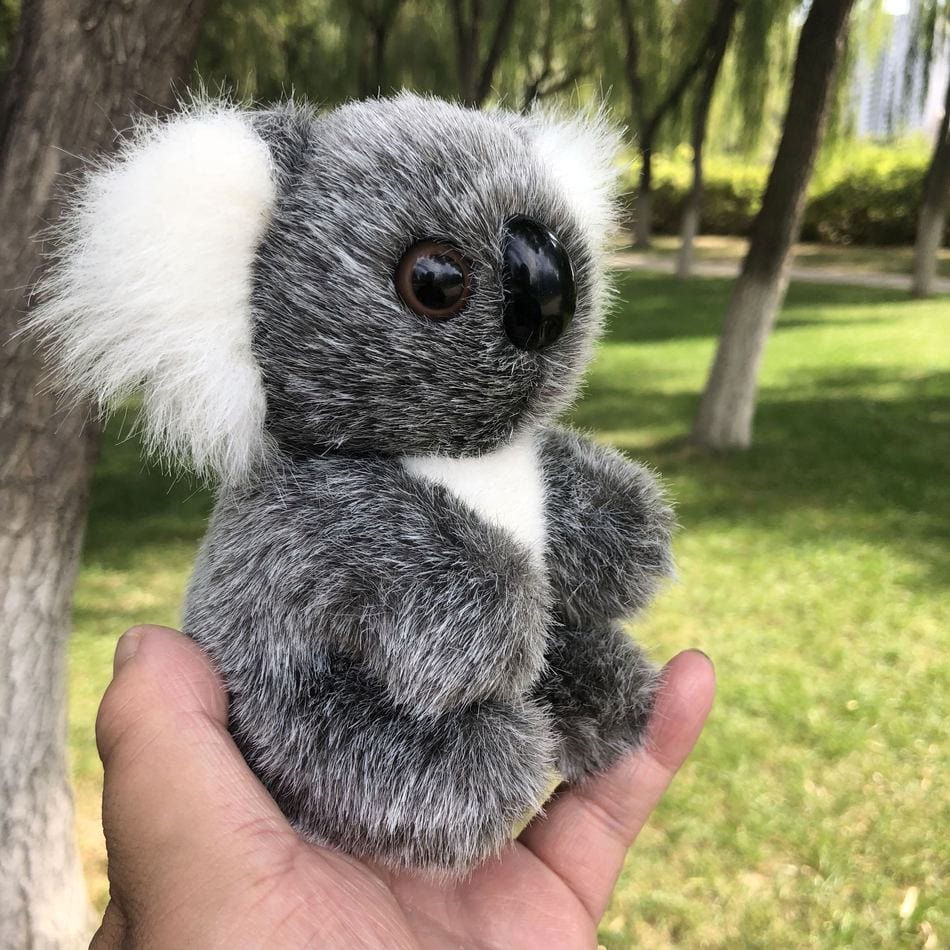 La Peluche Petite peluche koala poilu