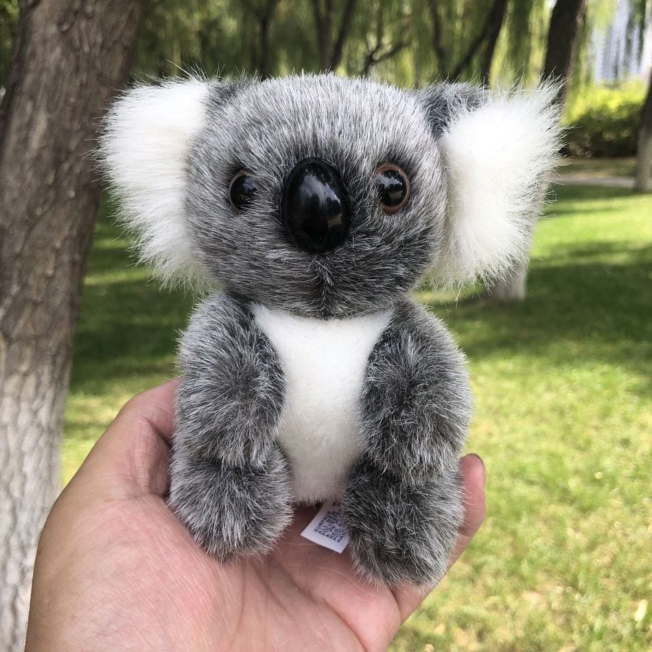 La Peluche Petite peluche koala poilu