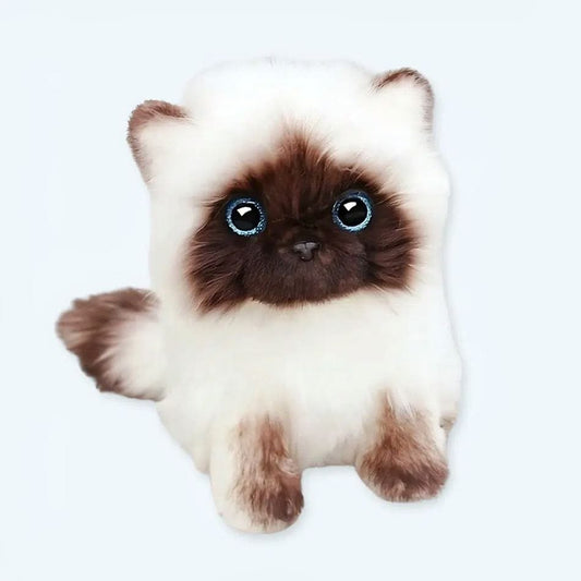 La Peluche 20cm Peluche chaton siamois