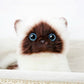 La Peluche Peluche chaton siamois