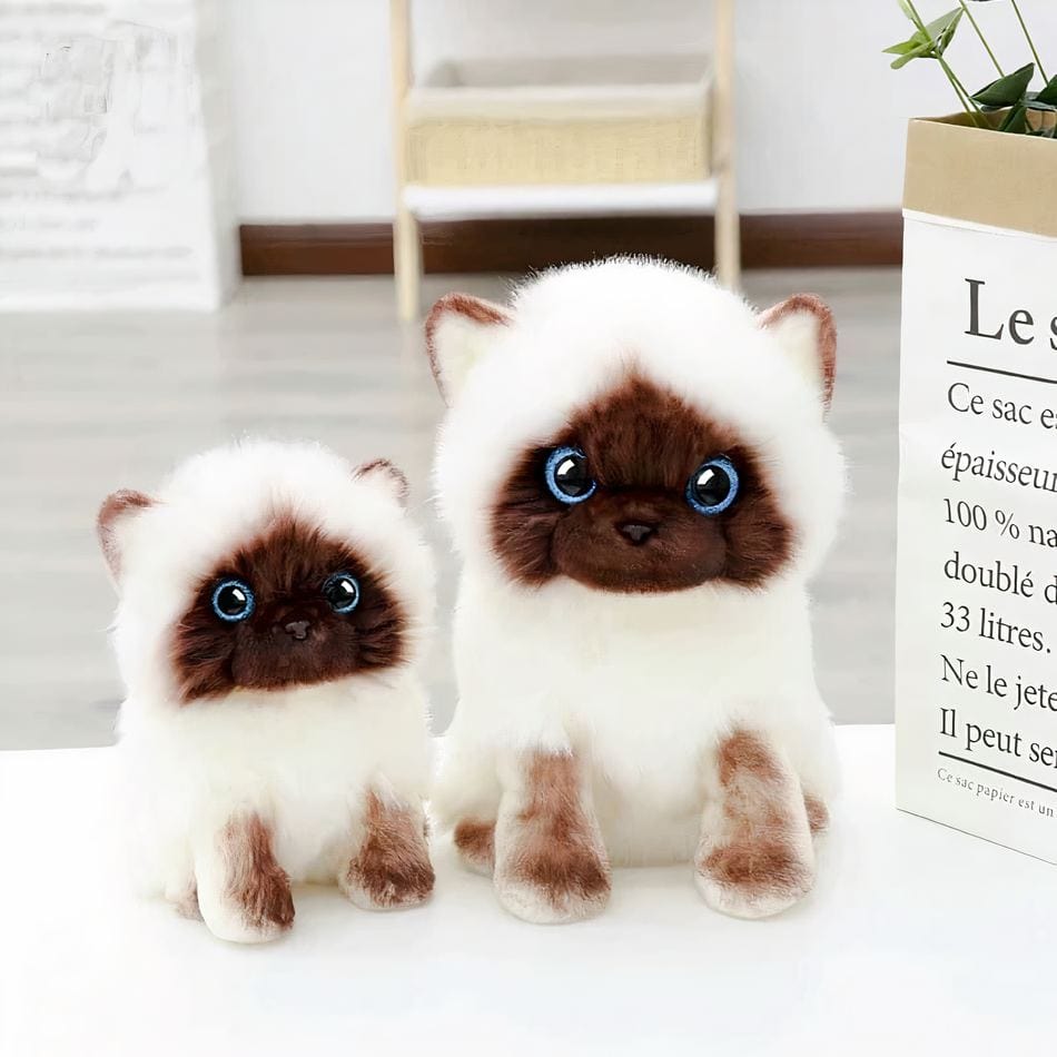 La Peluche Peluche chaton siamois