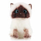 La Peluche Peluche chaton siamois