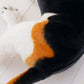 La Peluche Peluche chien beagle