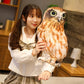 La Peluche Peluche hibou marron et blanc adorable