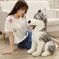 La Peluche Peluche loup adorable