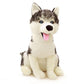 La Peluche Peluche loup adorable