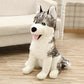 La Peluche Peluche loup adorable