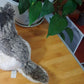 La Peluche Peluche loup de Sibérie