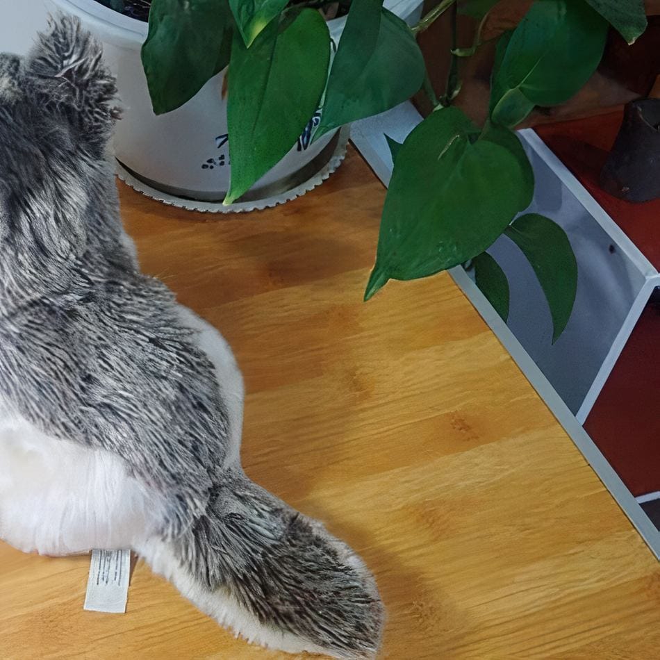 La Peluche Peluche loup de Sibérie