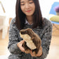 La Peluche Peluche loutre marron