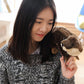 La Peluche Peluche loutre marron