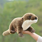 La Peluche Peluche loutre soyeuse