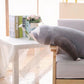 La Peluche Peluche paresseux grisâtre